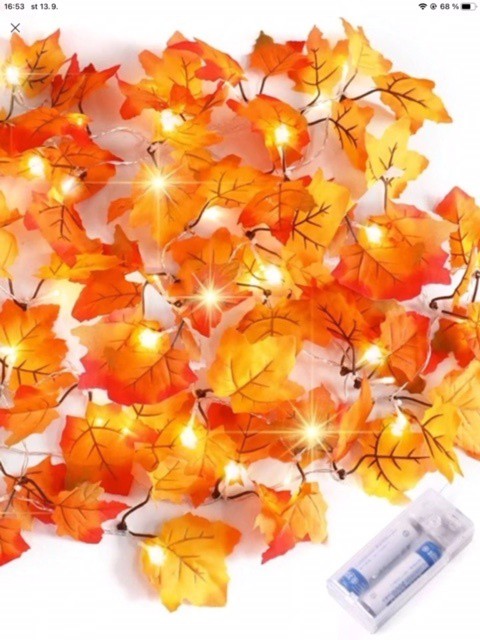 LED osvětlení javorové listy 2m, 20 svět | Dekorace - Párty